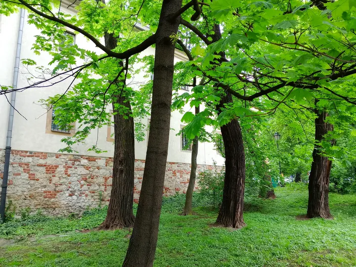 The garden beside the street’s eastern end at Mikołajska Street