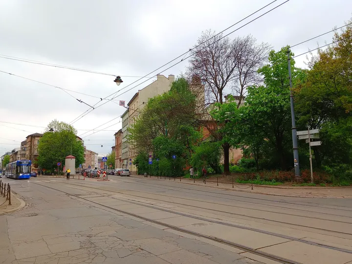 Trees beside the wider roadway at Miodowa Street