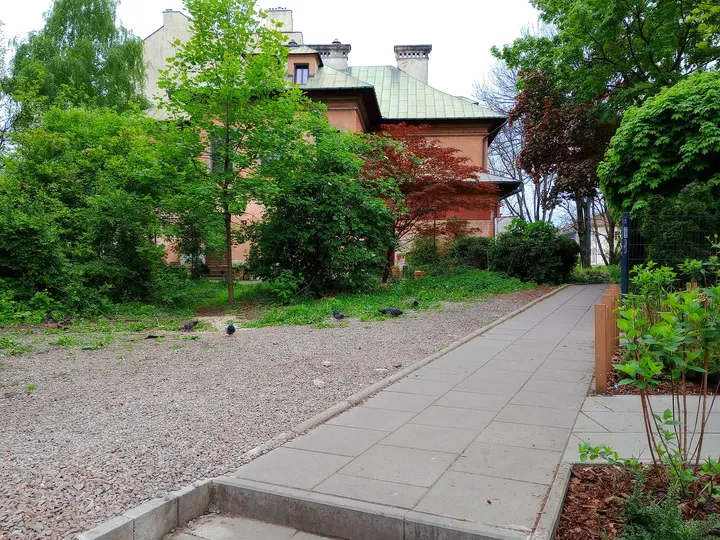 Greenery beside the decorative screen at Miodowa Street