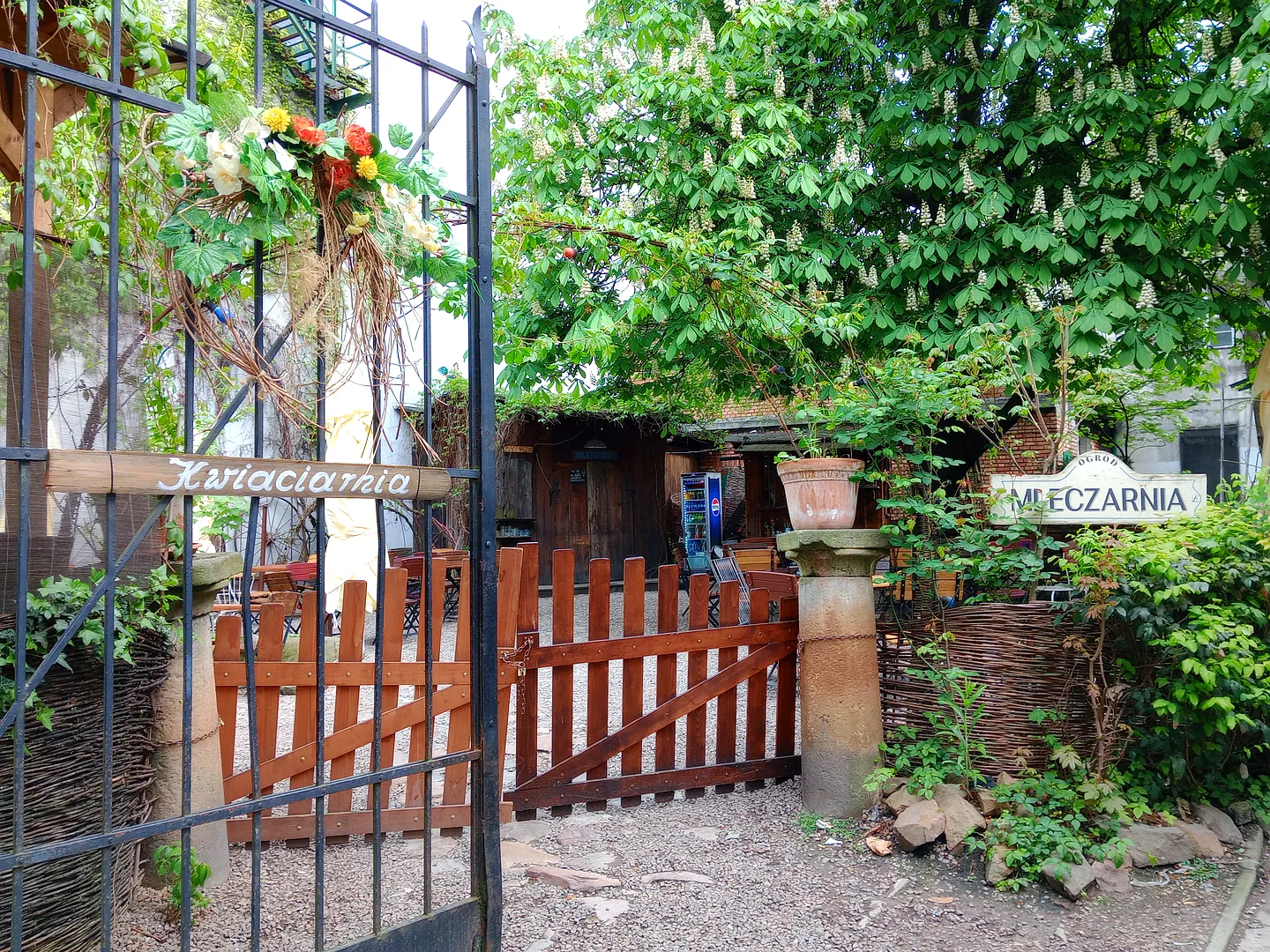 Outdoor tables beneath courtyard trees at Mleczarnia courtyard