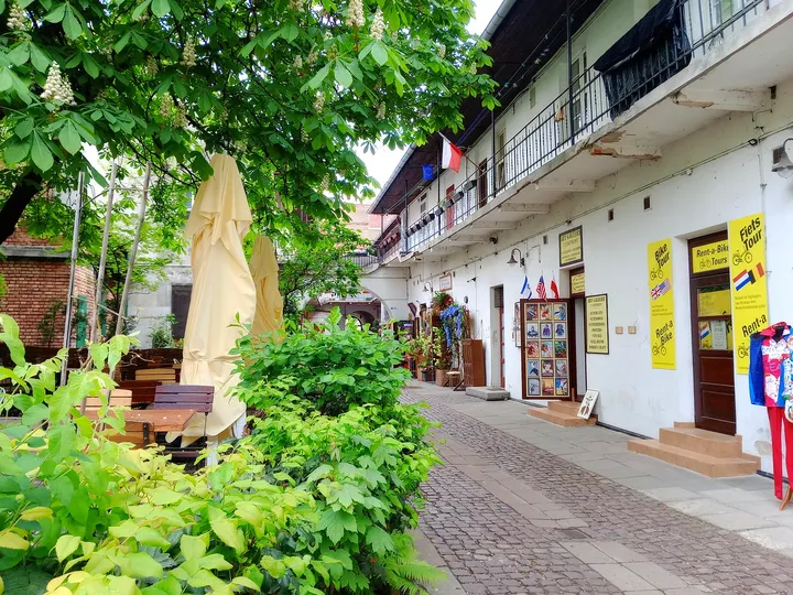 The planted walkway through the courtyard at Mleczarnia courtyard