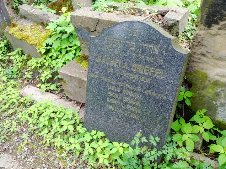 A dark memorial beside spring foliage at New Jewish Cemetery, Kraków