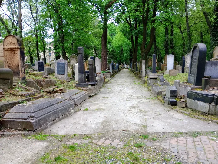 The straight avenue through the cemetery at New Jewish Cemetery, Kraków