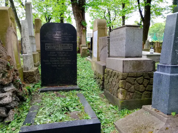 Older stones beneath spreading trees at New Jewish Cemetery, Kraków