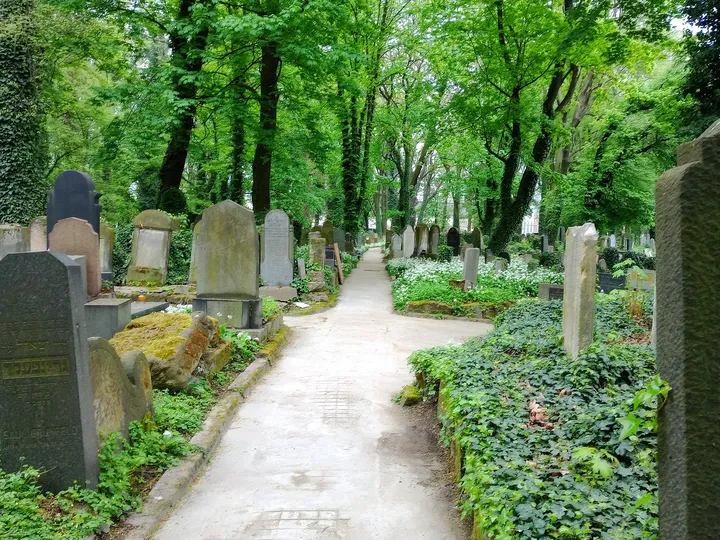 Graves bordered by low stone walls at New Jewish Cemetery, Kraków