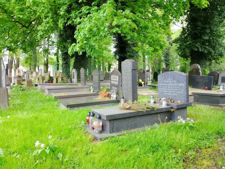 Rows of headstones beneath spring trees at New Jewish Cemetery, Kraków