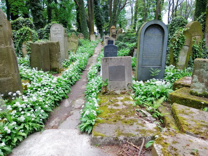 The narrow path among the graves at New Jewish Cemetery, Kraków