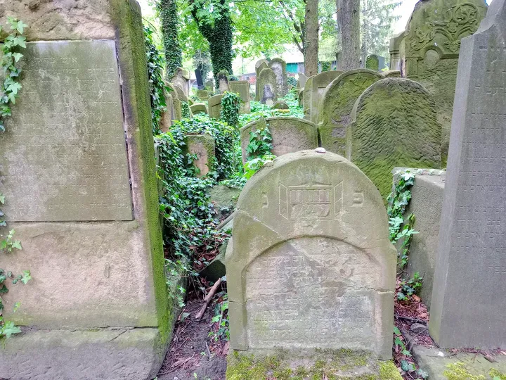 Carved headstones in the planted ground at New Jewish Cemetery, Kraków