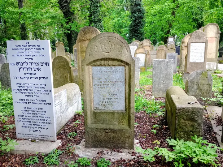 Older stones beside the cemetery path at New Jewish Cemetery, Kraków