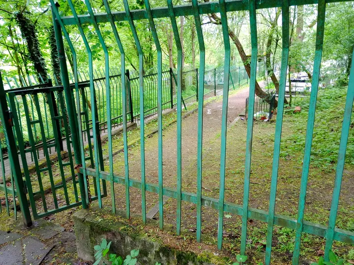 Iron fence along the wooded boundary at New Podgórze Cemetery
