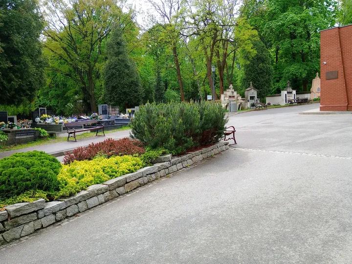 Cemetery path beside planted borders at New Podgórze Cemetery