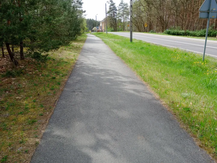 Paved cycleway beneath the trees at Nietkowice–Czerwieńsk cycling route