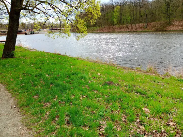 River beyond the grass bank at Palace Park, Żagań