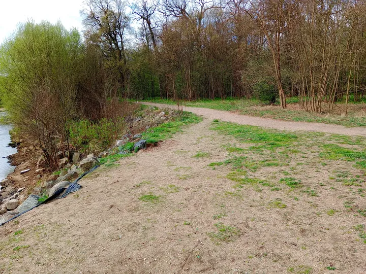 Park path towards the trees at Palace Park, Żagań