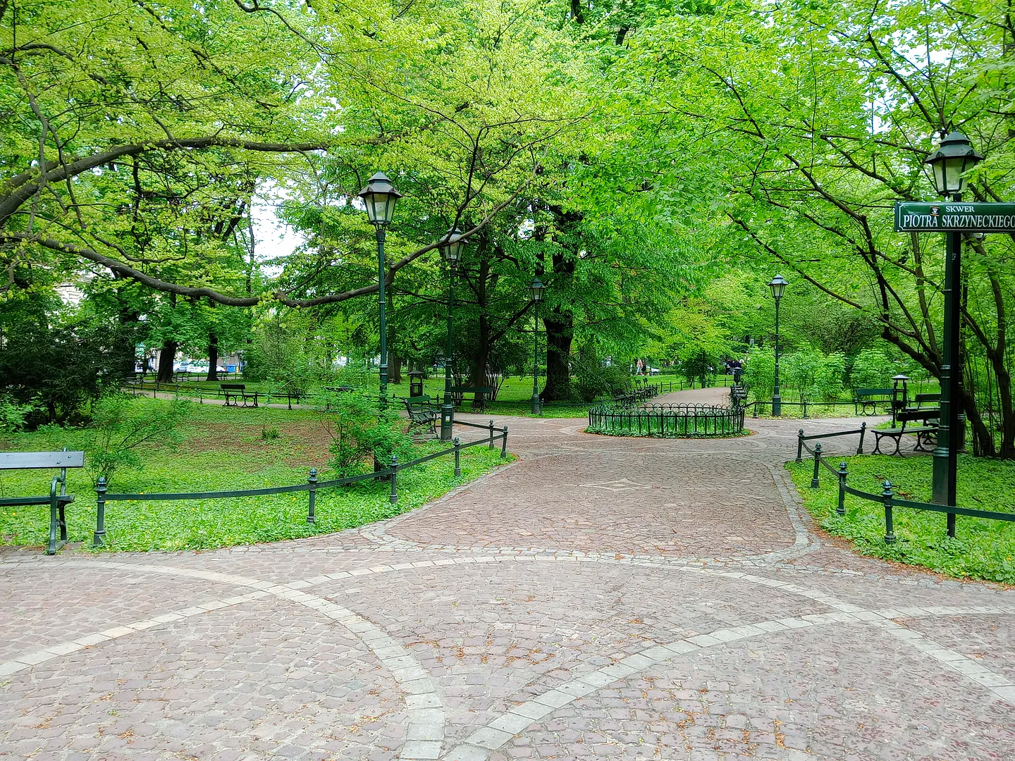 Paths branching through the square at Piotr Skrzynecki Square