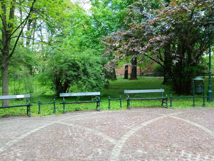 Benches beside the planted lawn at Piotr Skrzynecki Square