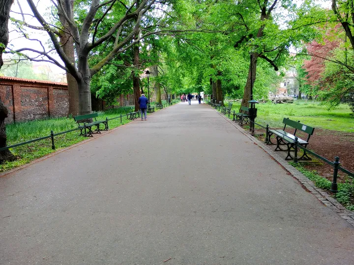 The avenue past the square at Piotr Skrzynecki Square