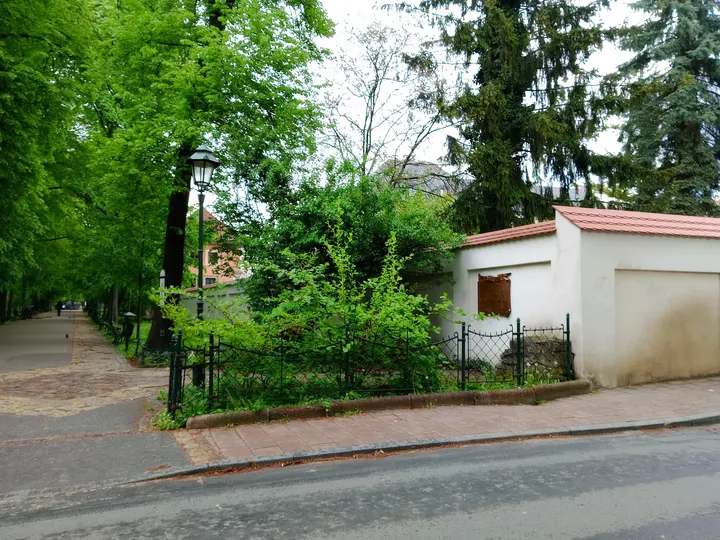 A small pavilion beside the trees at Piotr Skrzynecki Square