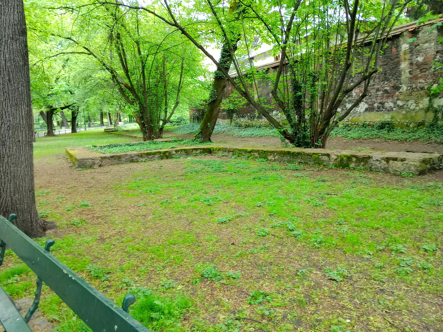 The spring lawn beside the park path at Planty beside Pijarska Street