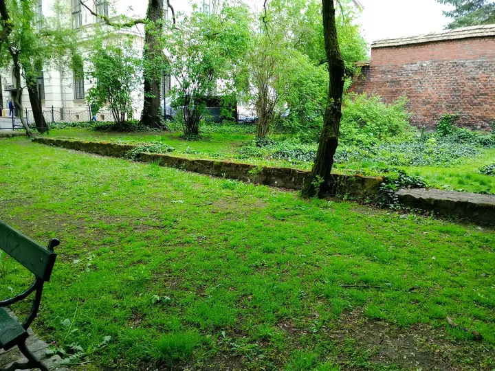 The lawn under an older tree at Planty beside Pijarska Street