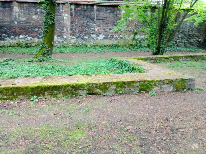 Stone traces at the garden edge at Planty beside Pijarska Street