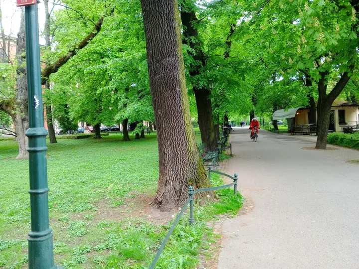 An avenue lined with benches at Planty beside Pijarska Street