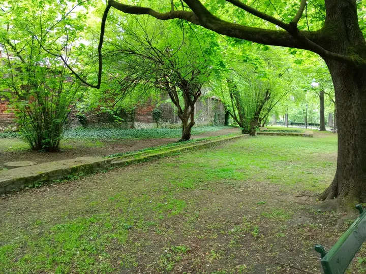 Curving paths through the planting at Planty beside Pijarska Street
