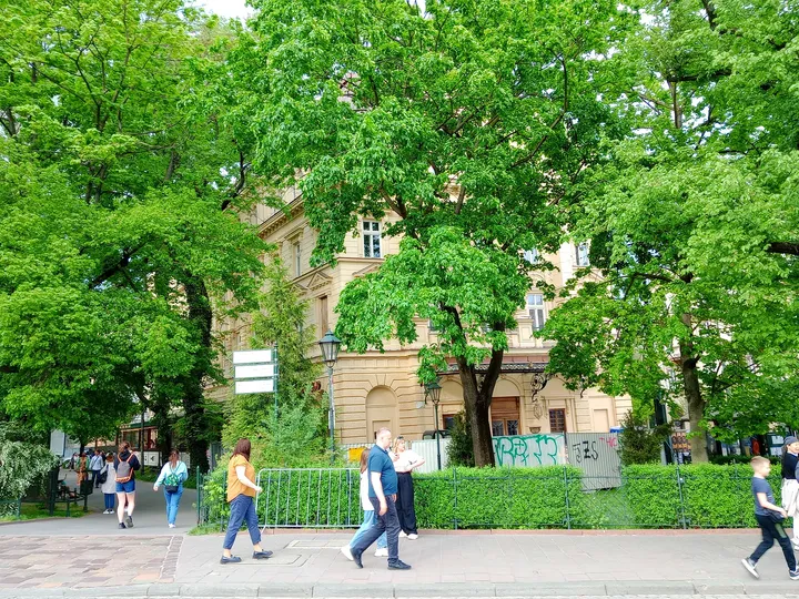 Trees and planting beside the Wawel approach at Planty beside Wawel