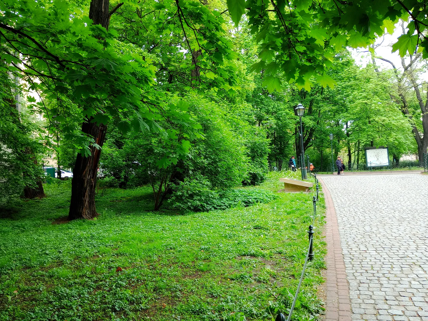 Trees beside the Planty path at Planty beside Westerplatte Street