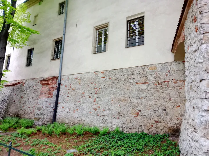 Planting below the old wall at Planty beside Westerplatte Street
