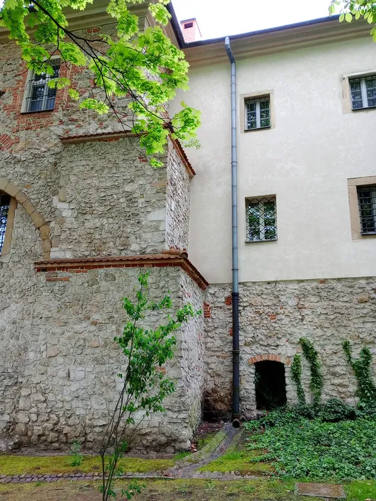 Trees against the surviving brickwork at Planty beside Westerplatte Street