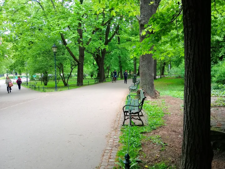 A long view along the tree-lined avenue at Planty: Florianka Garden