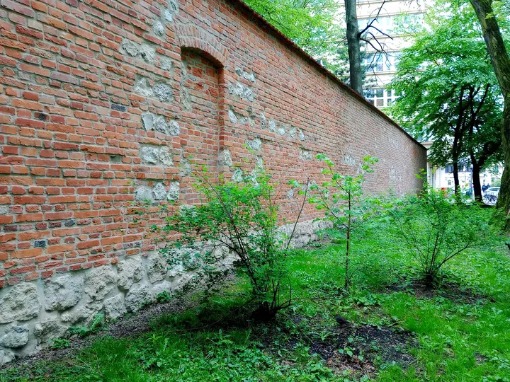 Older masonry beside the lawn at Planty: Florianka Garden