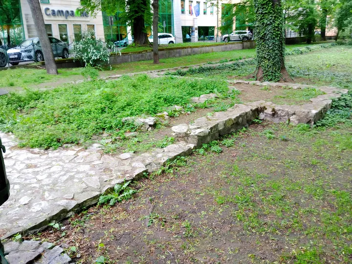 The older wall traces beneath the lawn at Planty: Station Garden