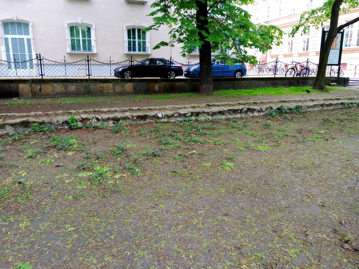 Stone traces at the edge of the path at Planty: Station Garden