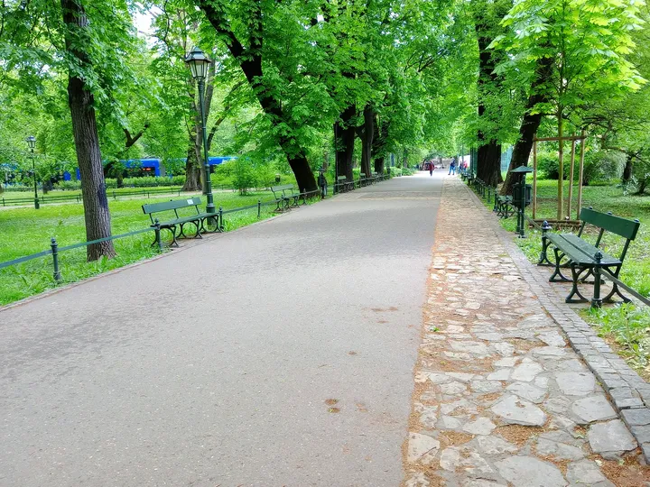The main avenue through the trees at Planty: Wawel Garden