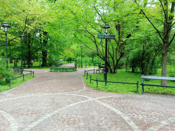 Tree shade above the garden path at Planty: Wawel Garden