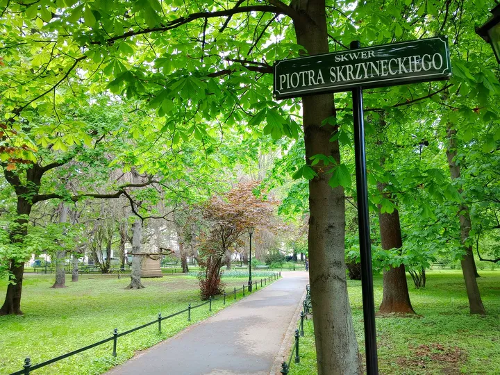 Paths meeting beside the lawns at Planty: Wawel Garden