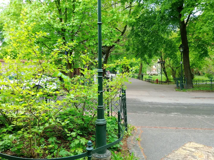 Benches beneath spring foliage at Planty: Wawel Garden