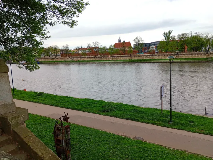 Trees beside the lower river route at Podolski river boulevard