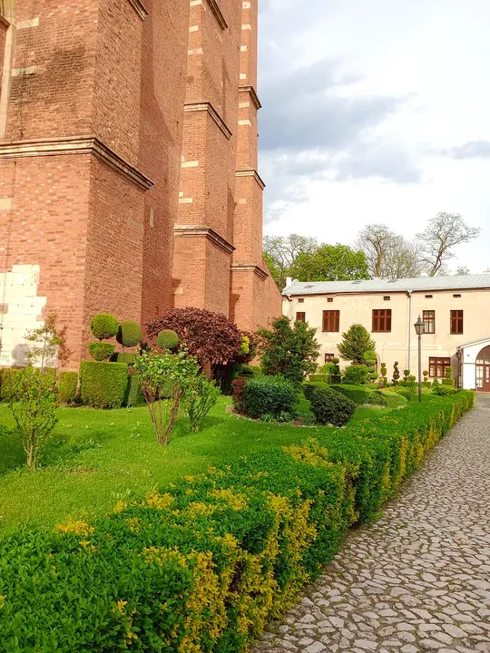 Green beds along the church masonry at Poor Clares’ convent, Kraków