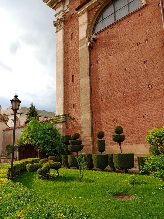 Church wall above the spring greenery at Poor Clares’ convent, Kraków