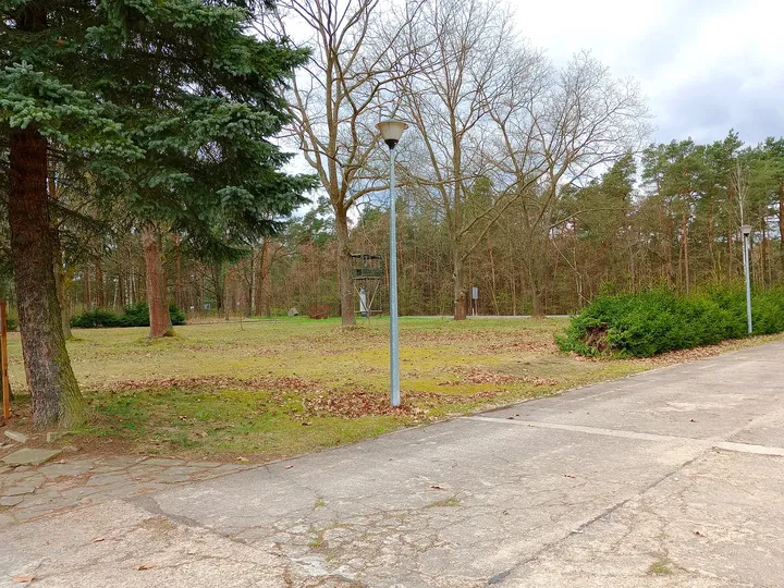 A path into the wooded camp grounds at Prisoner-of-War Camps Museum, Żagań