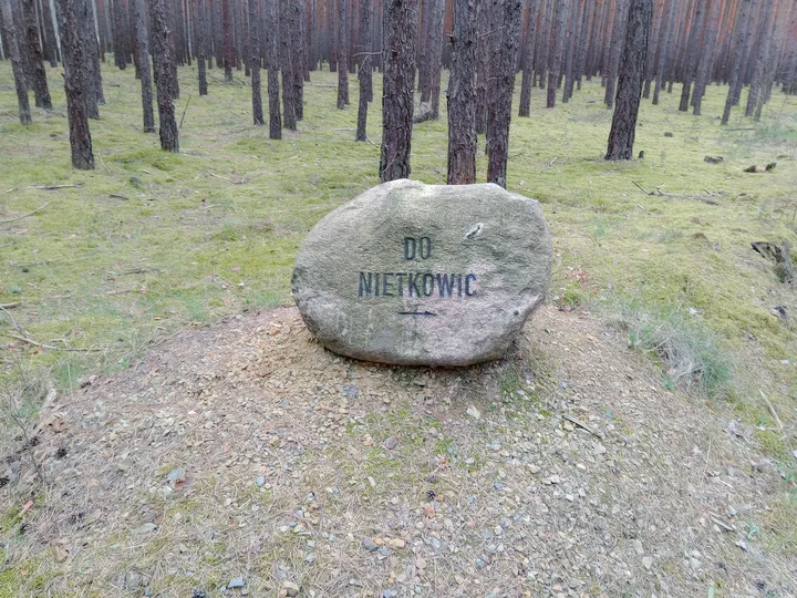 Round stone object in the grass at Przetocznica cycling route