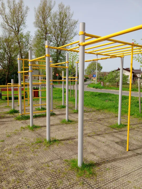 Workout frames across the grassy edge at Przylep outdoor exercise ground