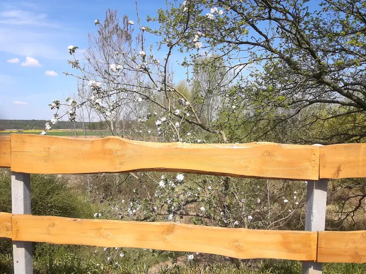 Timber railing along the route at Railway cycling route at Stany
