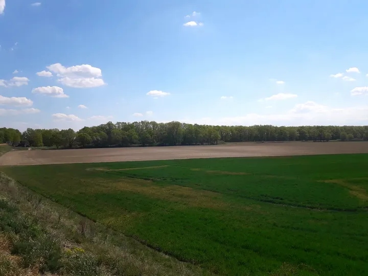Fields beyond the path at Railway cycling route at Stany