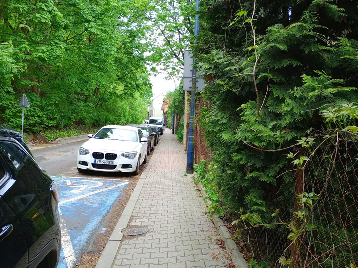 The narrow route beneath the trees at Rękawka hillside