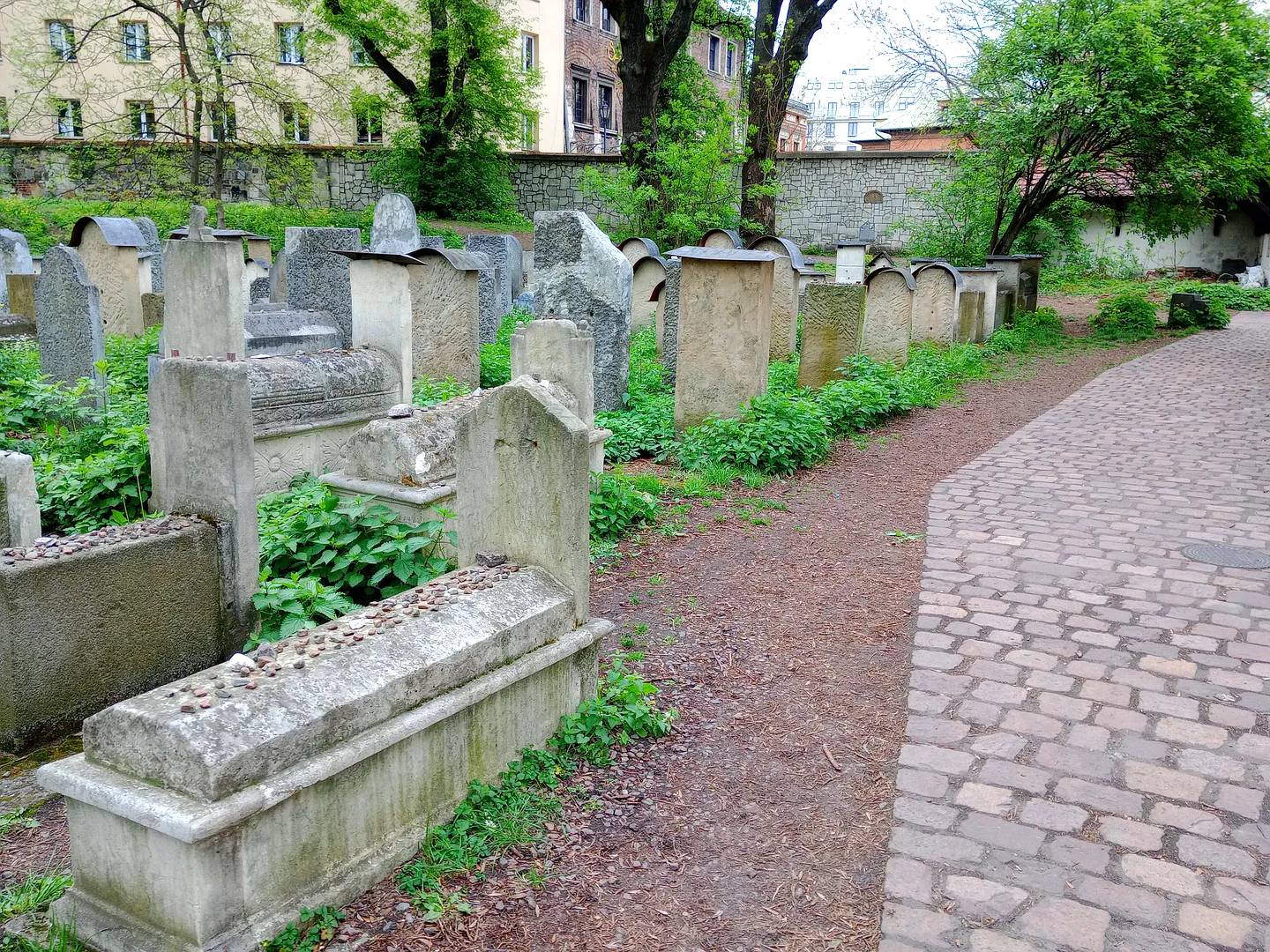 Path between the gravestones at Remuh Cemetery