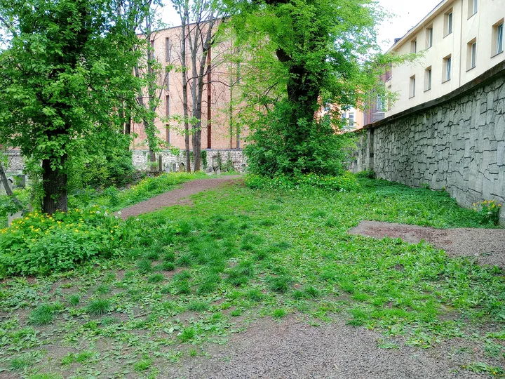 Planting along the cemetery wall at Remuh Cemetery